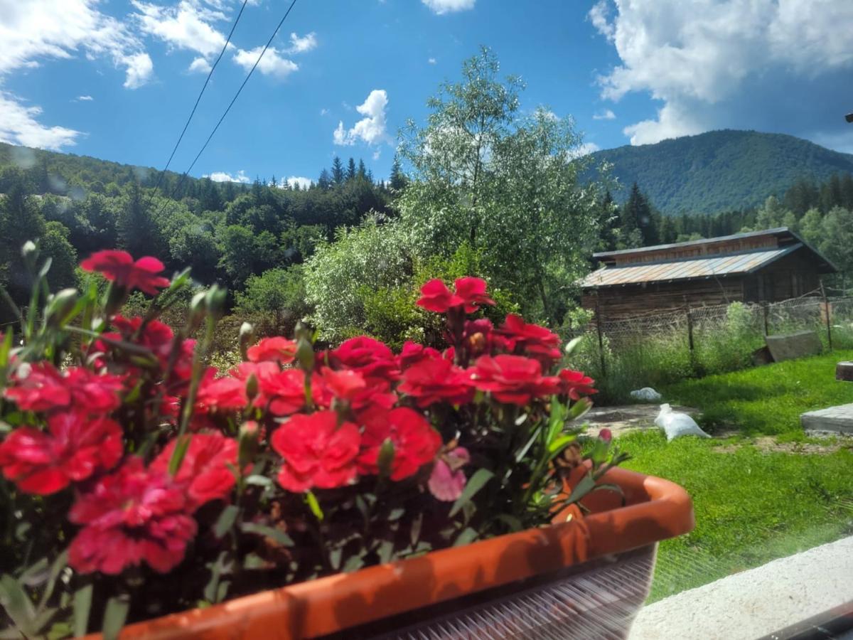 Poarta Zaganului Cheia Hotel Кея Екстериор снимка