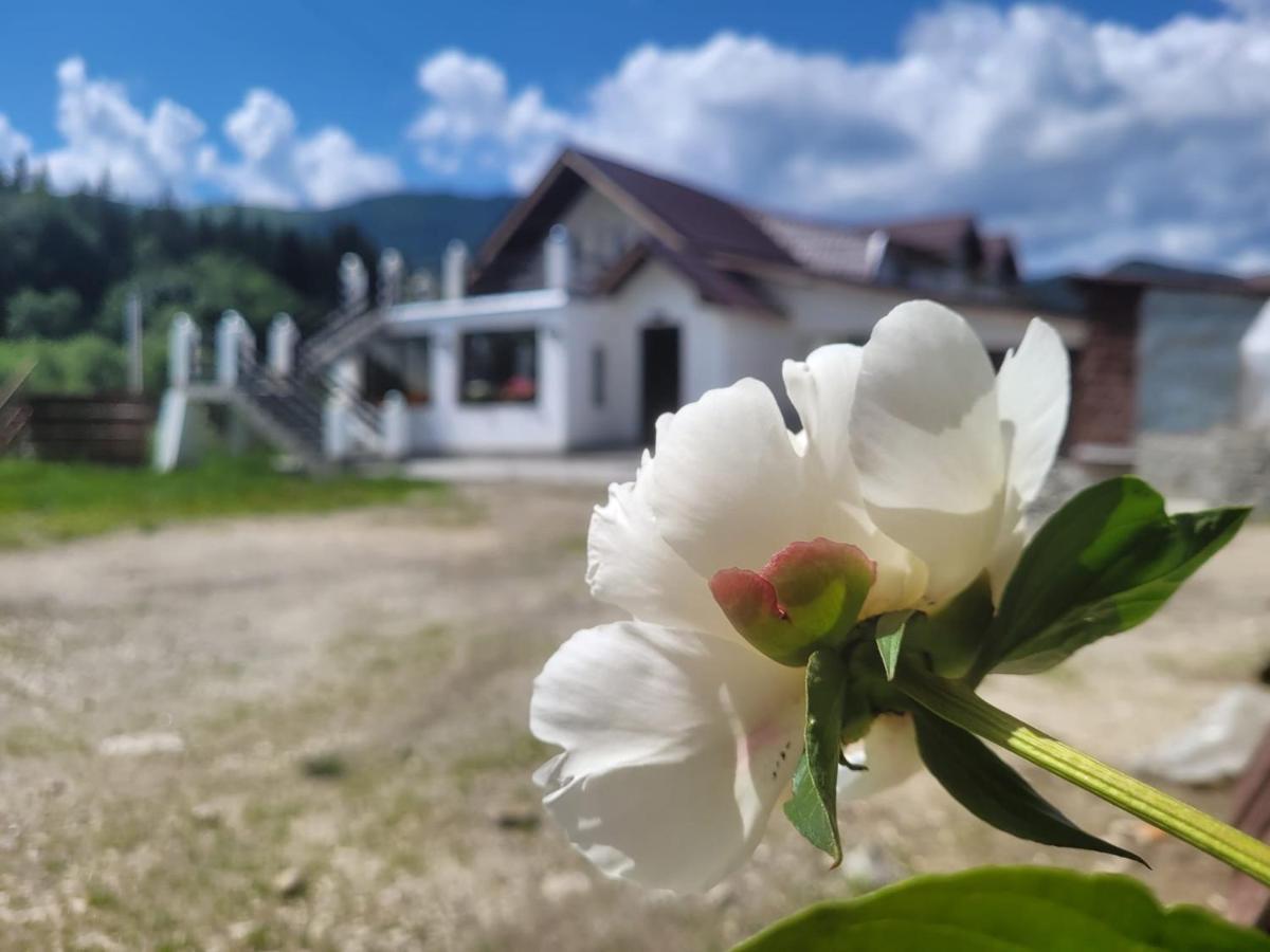 Poarta Zaganului Cheia Hotel Кея Екстериор снимка